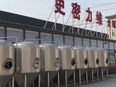 乃东精酿啤酒设备厂—市场规模与跨界新需求